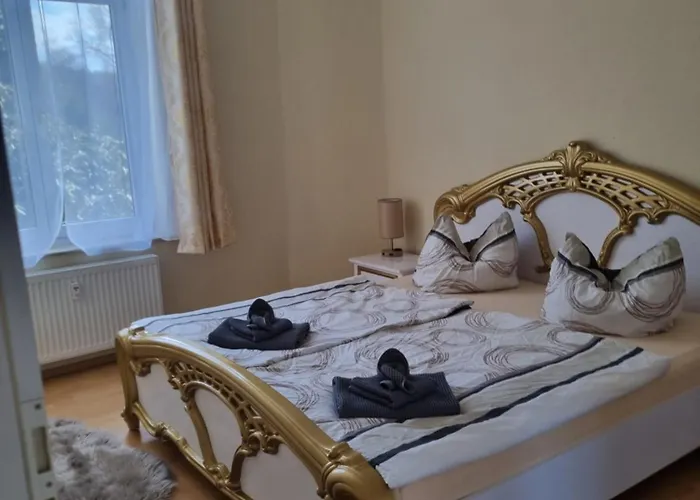 Ferienwohnung Fuerst Metternich In Bad Elster