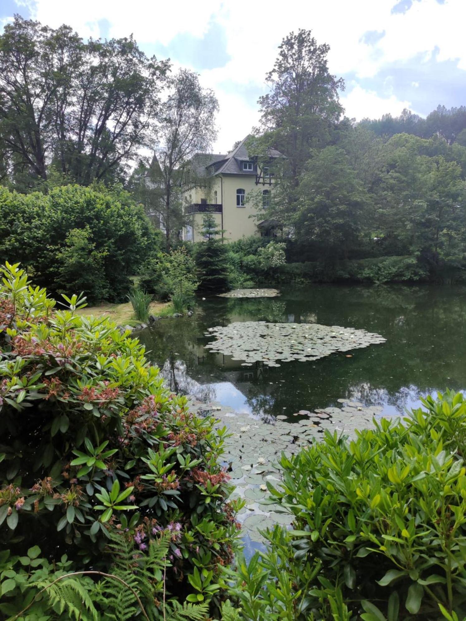 Apartment Fuerst Metternich In Bad Elster